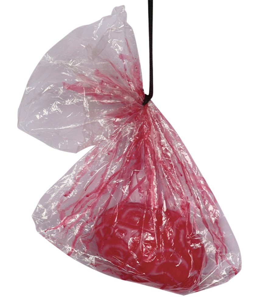 Picture of Bagged Severed Brain