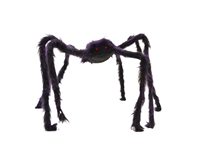 Picture of Hairy Spider