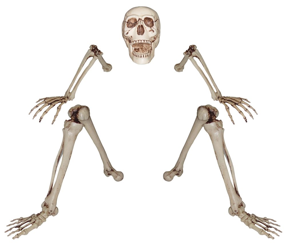 Picture of Lifesize Groundbreaker Skeleton