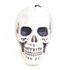 Picture of Light Up Gothic Skull