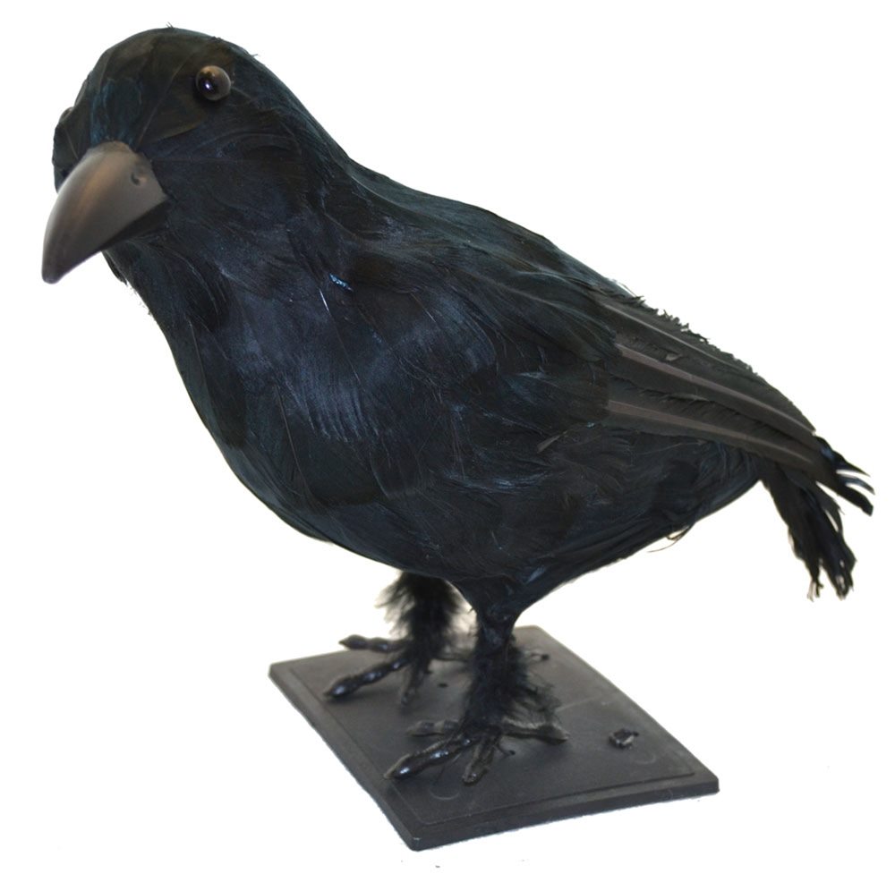 Picture of Realistic Sitting Crow Prop