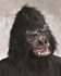 Picture of Two Bit Roar Gorilla Adult Mask