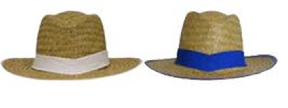 Picture of Fedora Straw Hat