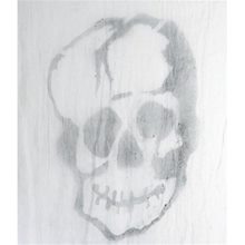 Picture of Large Skull on Freaky Fabric