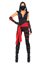 Picture of Deadly Ninja Adult Womens Costume