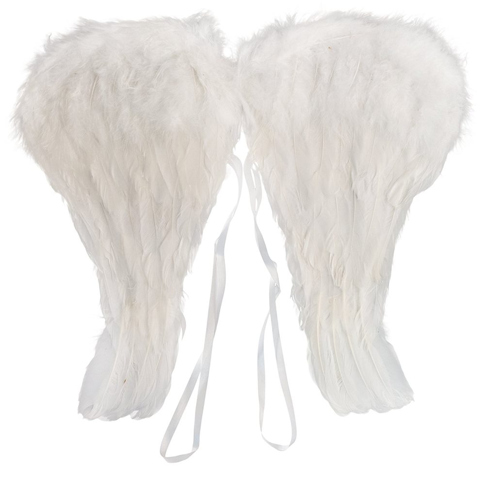 Picture of White Angel Wings 14in