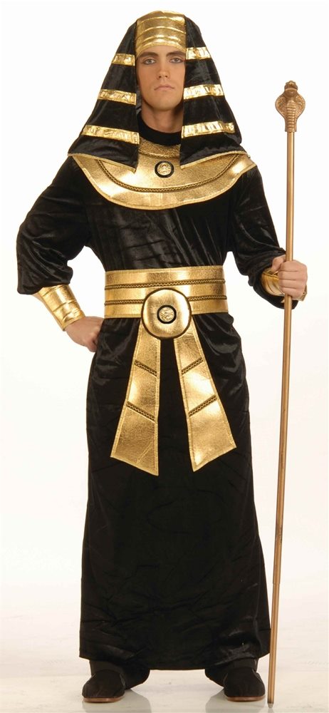Picture of Egyptian Pharaoh Adult Mens Costume