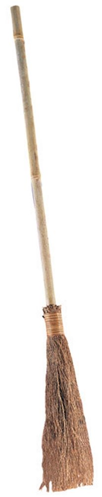 Picture of Witch Broom 42 Inches