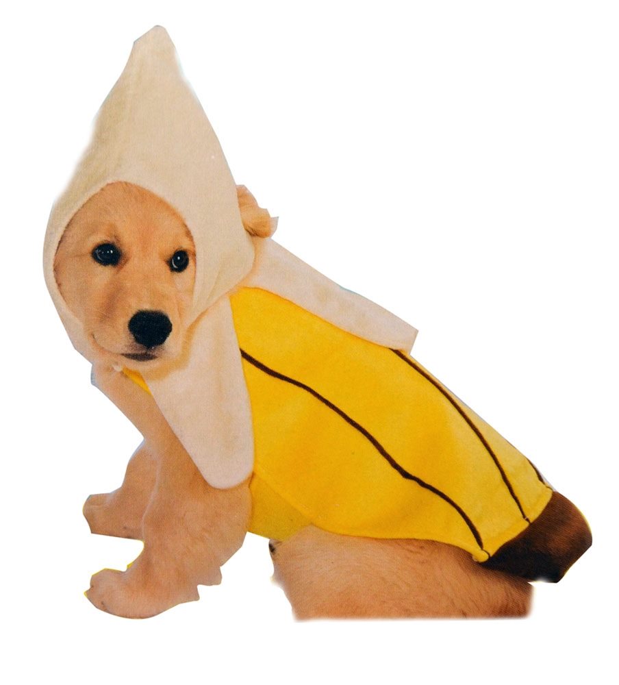 Picture of Banana Dog Costume