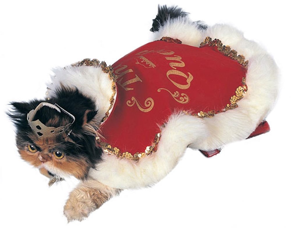 Picture of Queen Cat & Dog Pet Costume