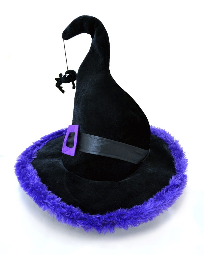 Picture of Halloween Witch Hat with Spider
