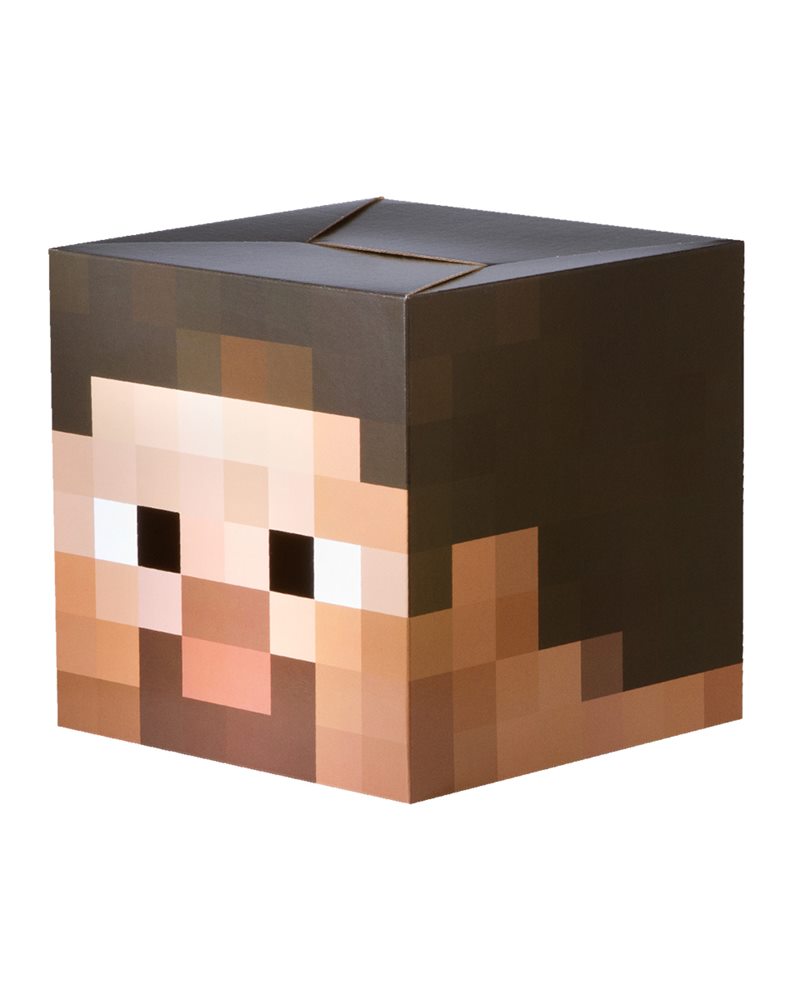 Picture of Minecraft Cardboard Steve Head