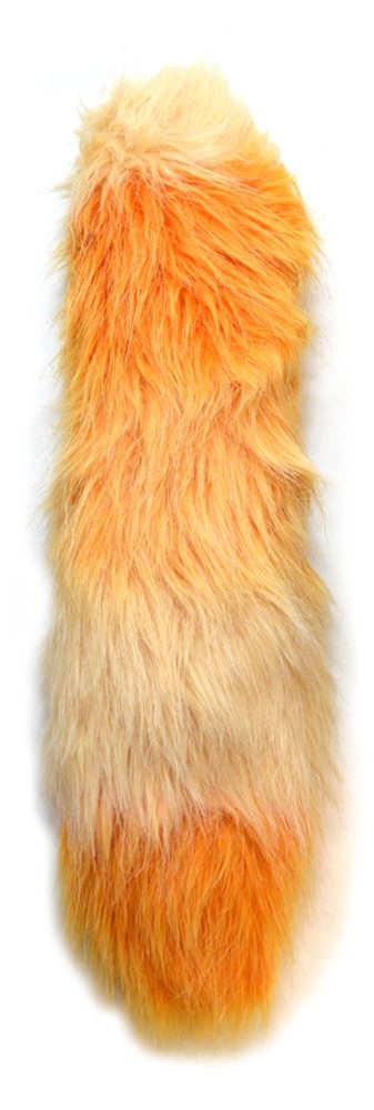 Picture of Fox Tail