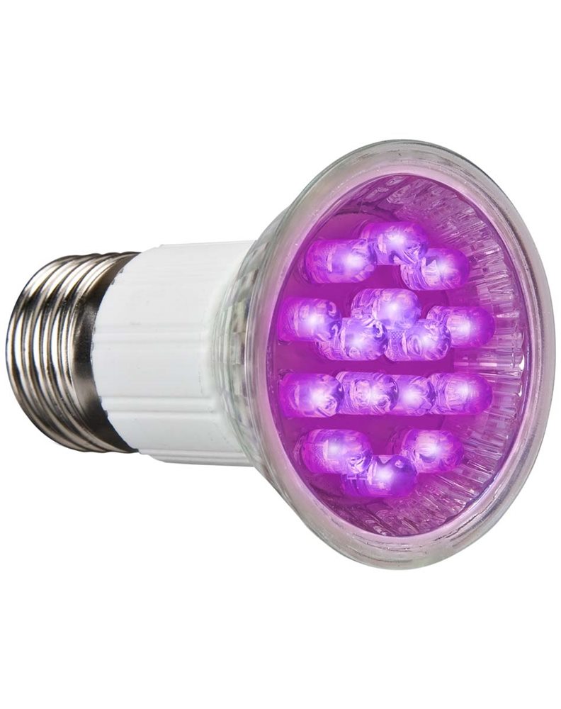 Picture of Black Light LED Light Bulb