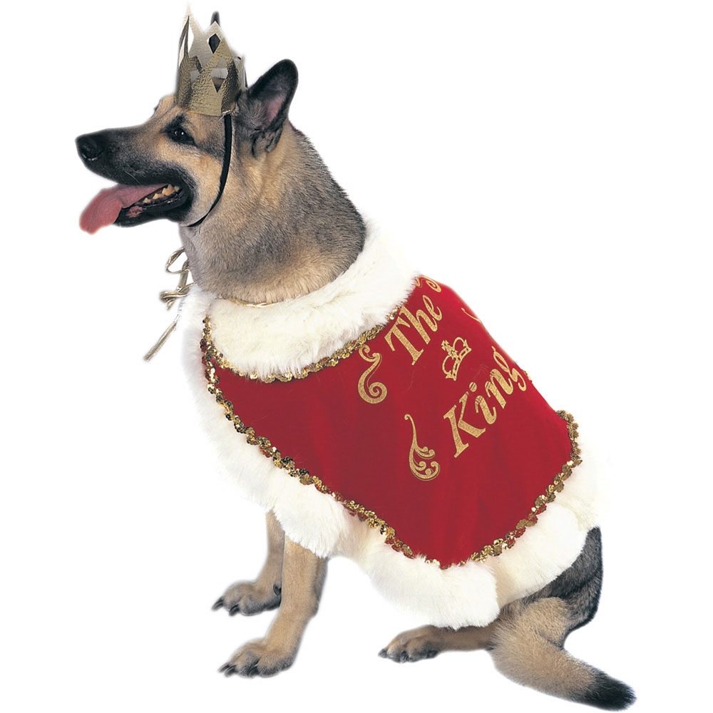 Picture of King Pet Costume