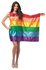 Picture of Rainbow Flag Dress Adult Womens Costume