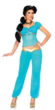 Picture of Jasmine Adult Womens Costume