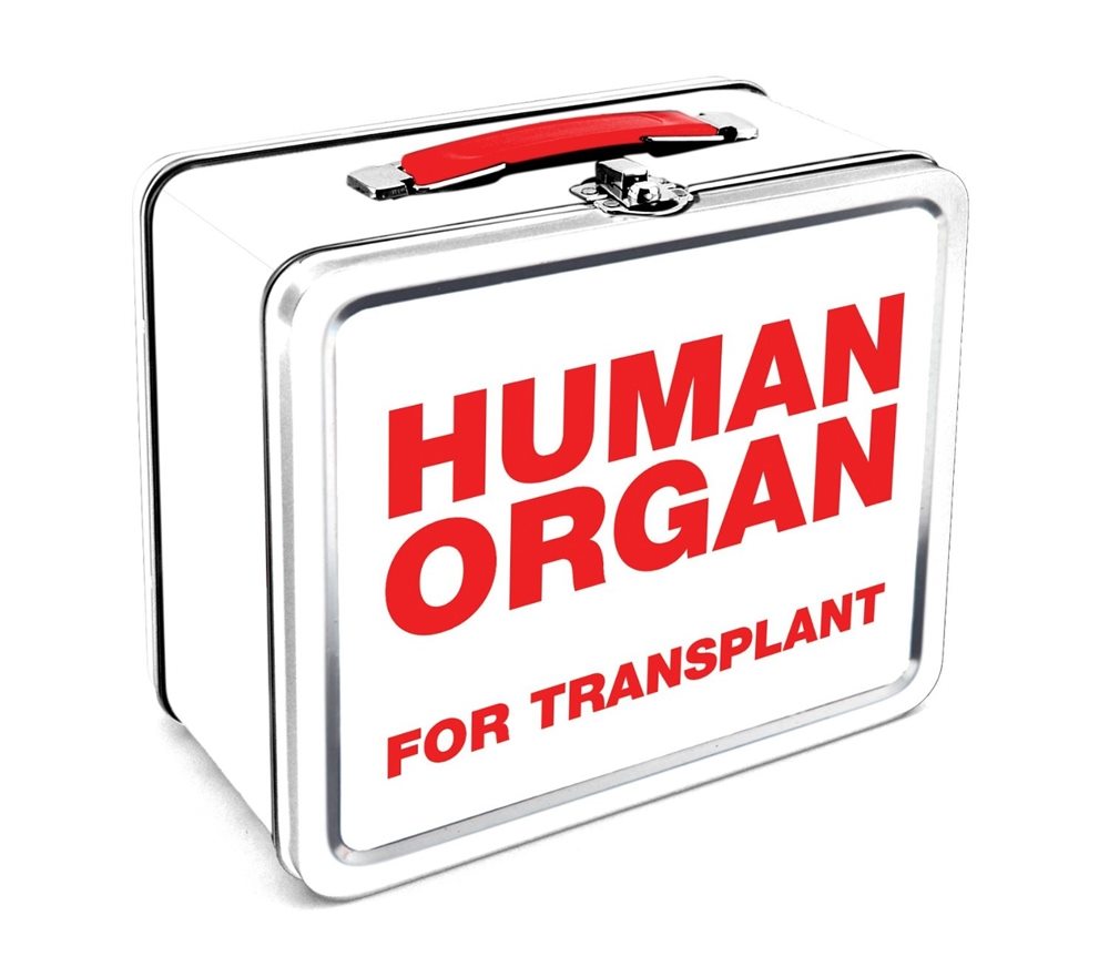 Picture of Human Organ Lunch Box