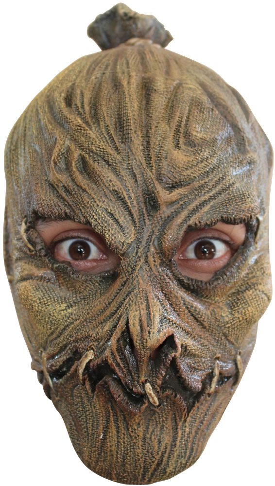 Picture of Scarecrow Child Mask