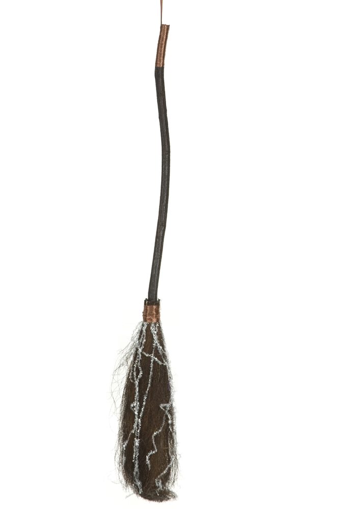 Picture of Bent Witch Broom