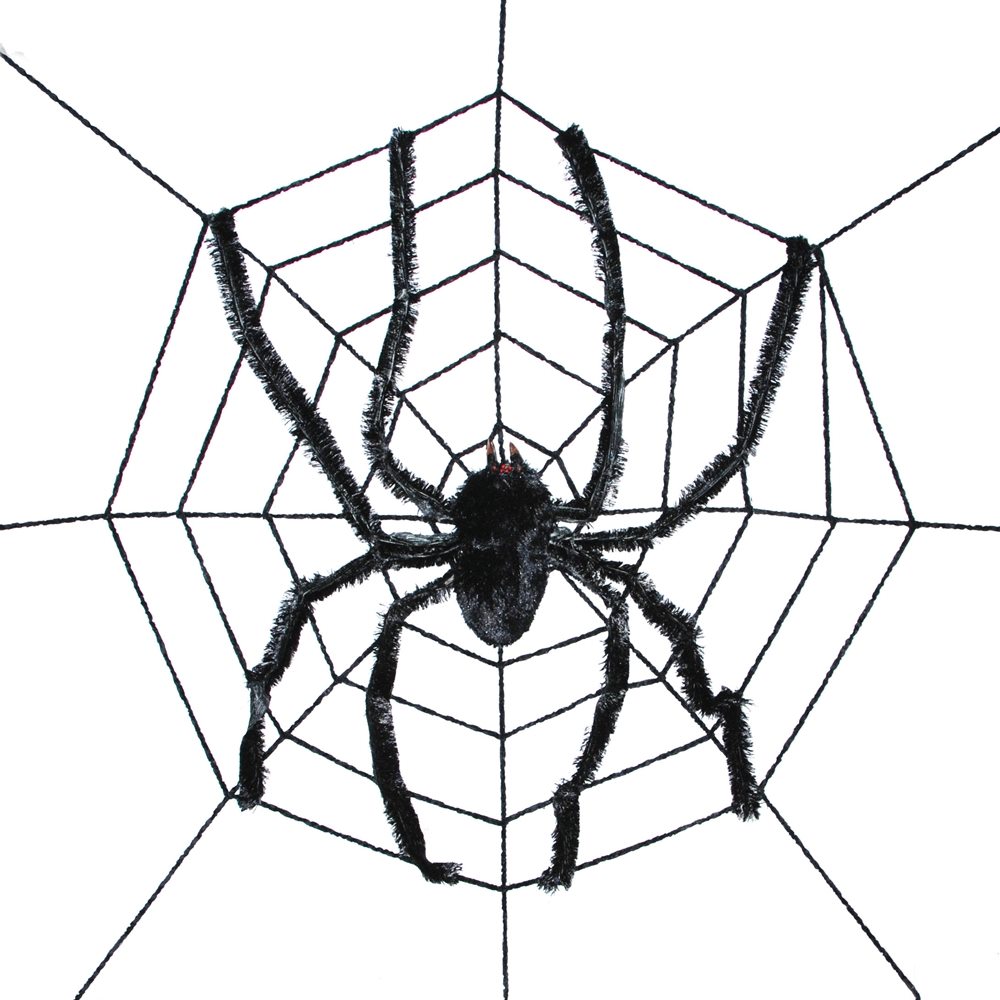Picture of Spiderweb with Giant Spider