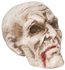 Picture of Rotten Haunted Skull Prop