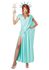 Picture of Lady Liberty Adult Womens Costume