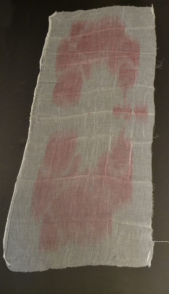 Picture of Bloody Creepy Cloth