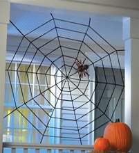Picture of Giant Rope Spiderweb