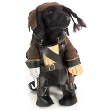Picture of Pirate King Pet Costume