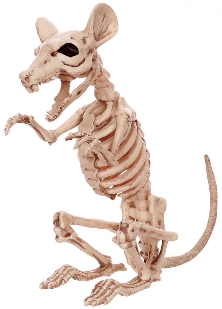 Picture of Rat Skeleton Prop