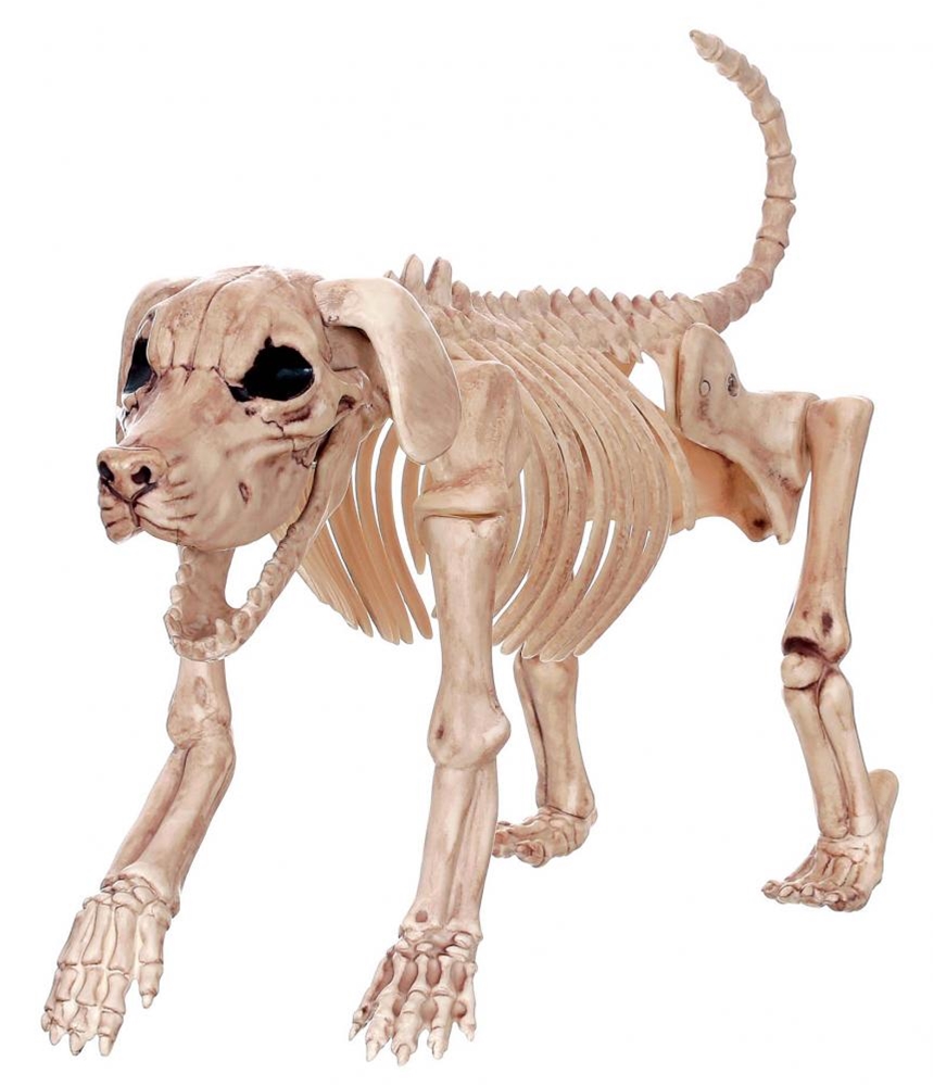 dog skeleton toy