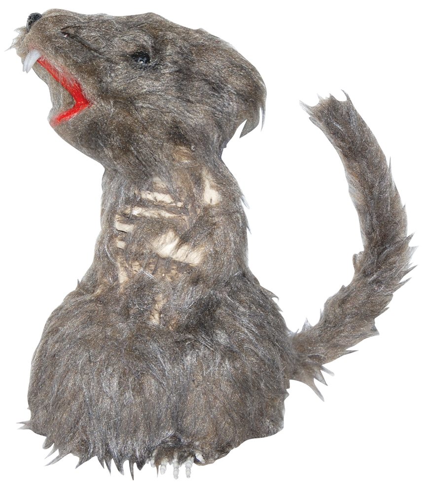 Picture of Boney Rat Prop