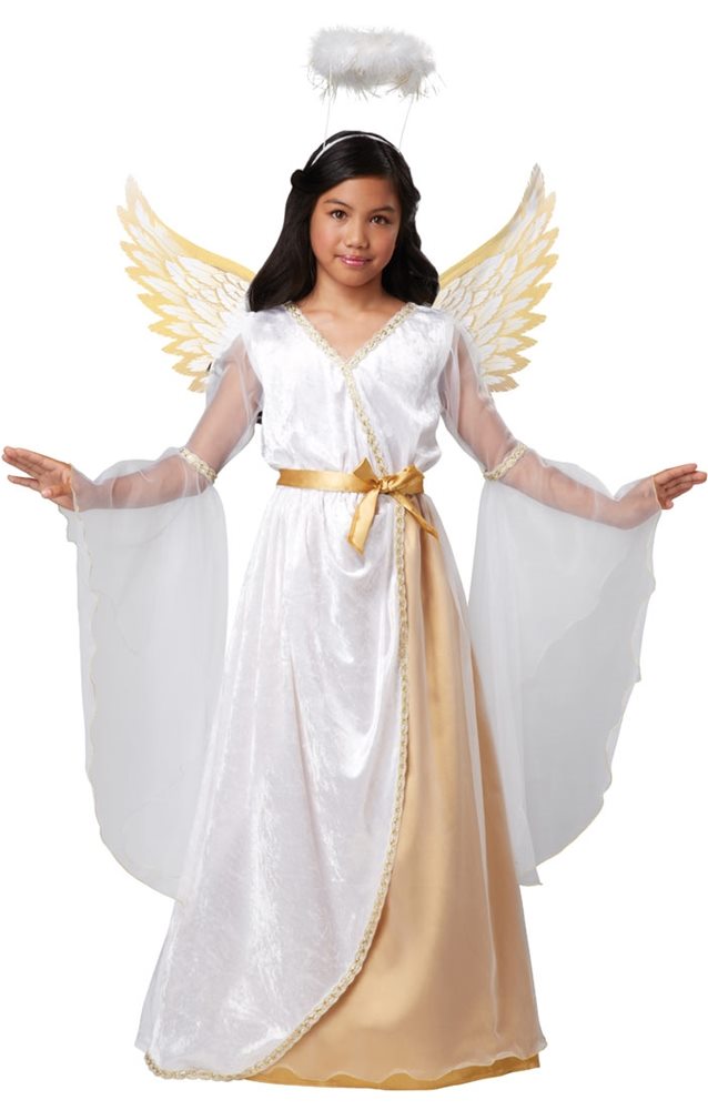 Picture of Guardian Angel Child Costume