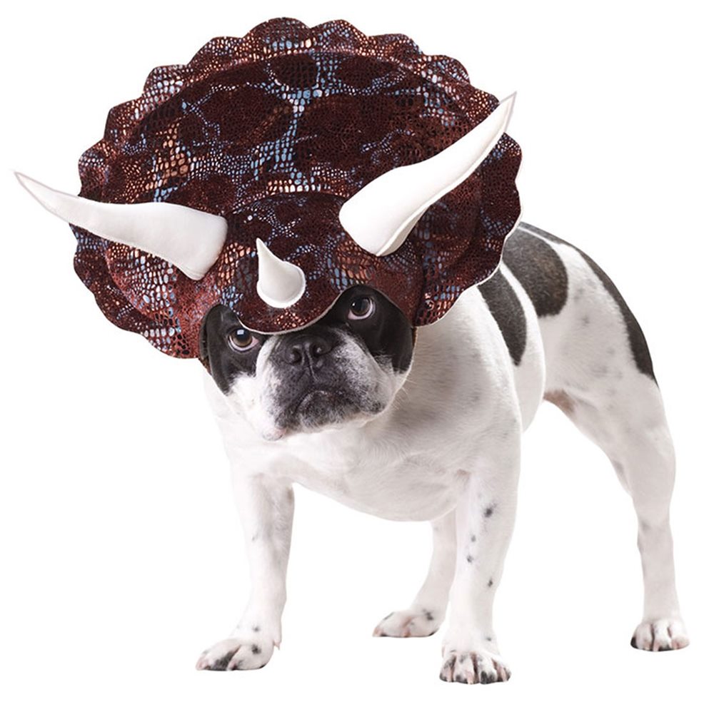 Picture of Animal Planet Triceratops Pet Costume