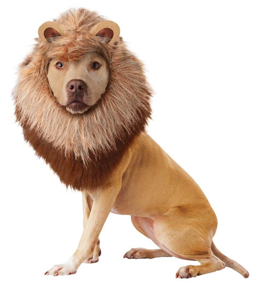 Picture of Roaring Lion Pet Costume