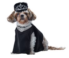 Picture of Barkfest at Sniffanys Pet Costume