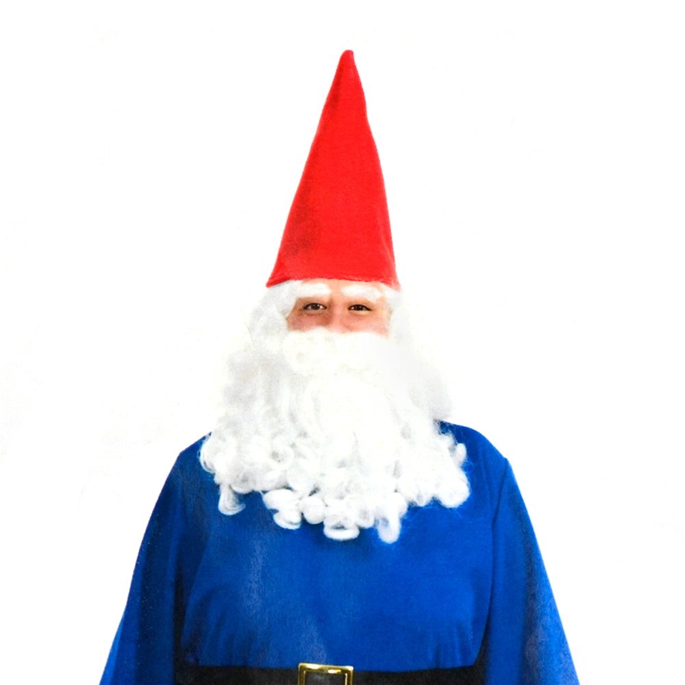 Picture of Gnome Beard