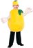 Picture of Lemon Child Costume