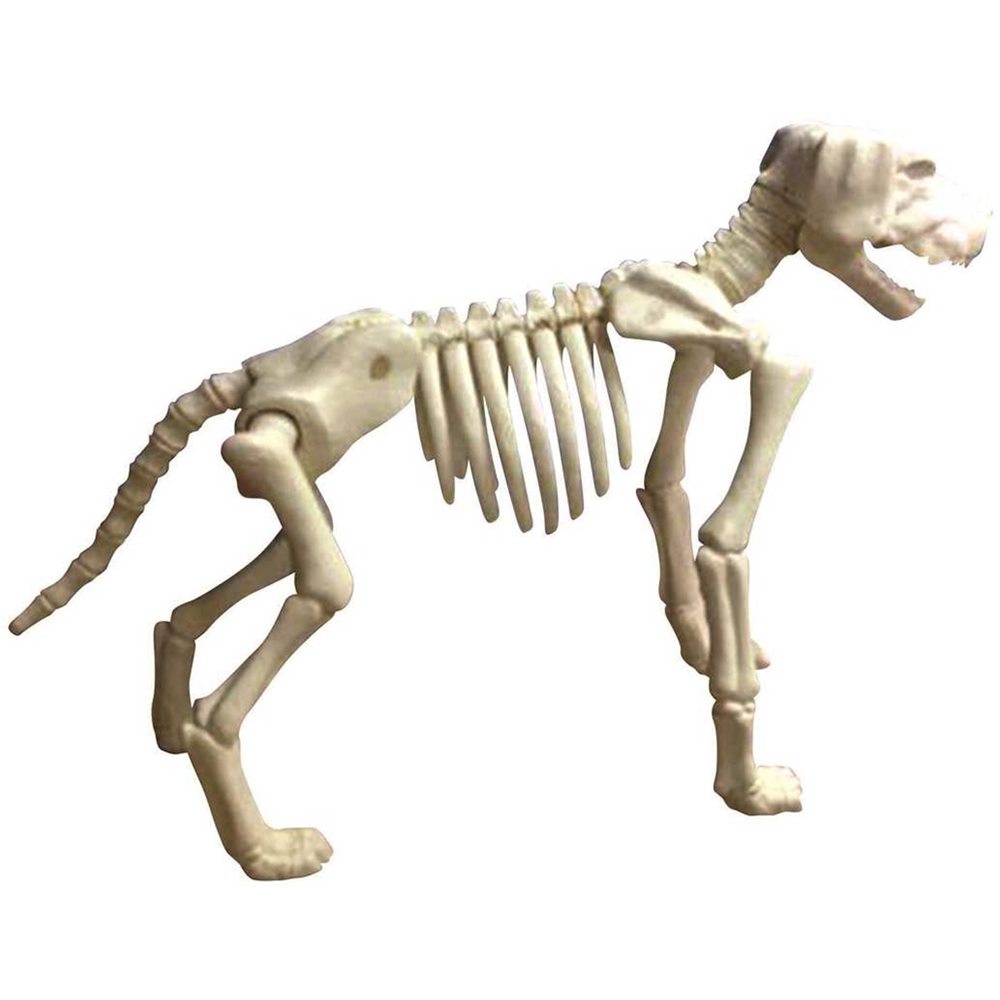 Picture of Large Skeleton Dog Prop