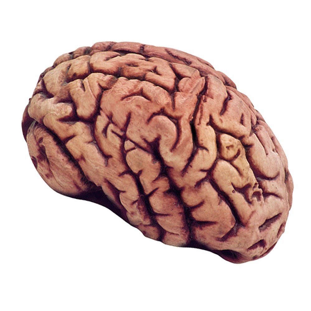 Picture of Bloody Brain