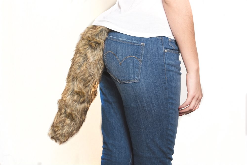 Picture of Brown Fox Tail 18in