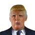 Picture of Donald Trump Mask