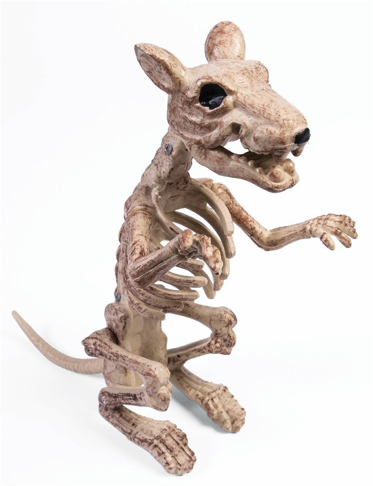 Picture of Sitting Rat Skeleton Prop