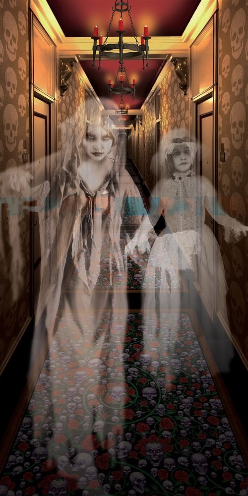 Picture of Haunted House Hallway Door Cover