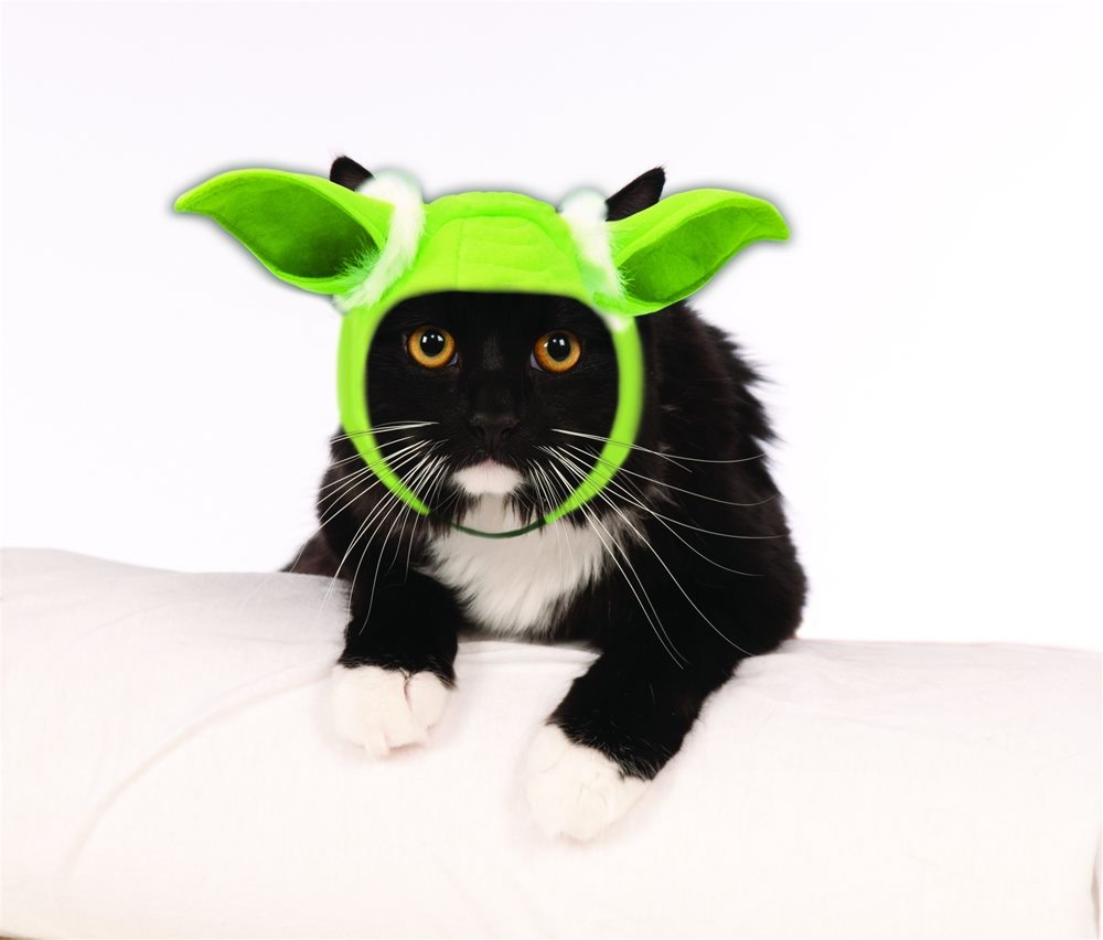 Picture of Star Wars Yoda Ears Cat Headband