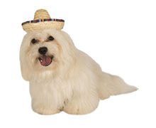 Picture of Straw Sombrero Pet Hat