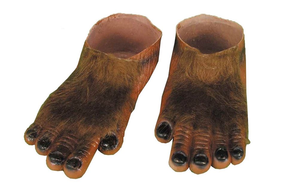 Picture of Werewolf Hairy Brown Feet