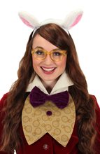Picture of Alice in Wonderland Rabbit Costume Kit