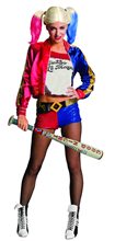 Picture of Suicide Squad Harley Quinn Inflatable Bat